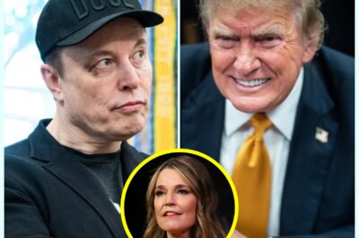 TODAY SHOW HOST SLAMS TECH TYCOON AND PRESIDENT Savannah Guthrie COMPARES El0n Muk And Donald Trum BEHAVIOR TO MIDDLE SCHOOL GIRLS IN EPIC RANT
