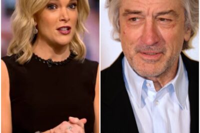 Robert De Niro Silences Megyn Kelly Live On Air With Eight Chilling Words—Fans Say They’ve Never Seen Her So Speechless