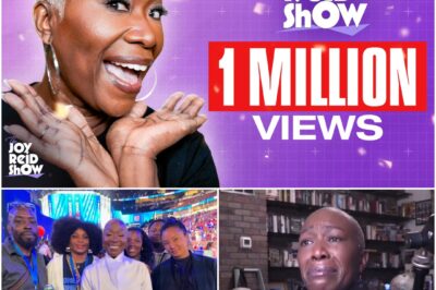 EXCLUSIVE: MSNBC Thought They Silenced Their ‘Dangerous’ Host. Four Months Later, Joy-Ann Reid Has 160,000 Paying Fans—and a Media Empire That’s Making Her Old Bosses Panic