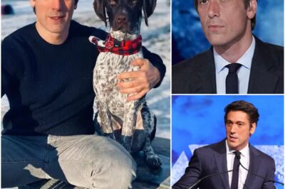 ABC SHOCKER: The Quiet Bombshell That Rocked America’s Most Trusted Newsroom—And Left David Muir at a Crossroads