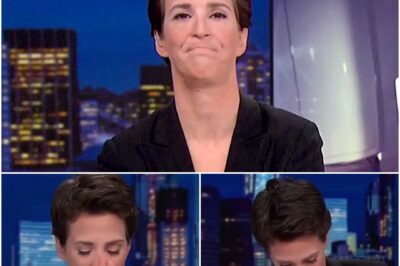 THE NIGHT RACHEL MADDOW BROKE: When America’s Pain Overwhelmed Even Its Toughest JournalistTHE NIGHT RACHEL MADDOW BROKE: When America’s Pain Overwhelmed Even Its Toughest Journalist. It was a night viewers will never forget. As the nation grappled with heartbreaking headlines, Rachel Maddow—famed for her composure and grit—found herself overcome on live television. In a rare, vulnerable moment, Maddow’s voice cracked and tears welled up, revealing just how deeply America’s pain had struck. What story finally broke her, and how did she find the words to keep going? Insiders reveal the behind-the-scenes tension and the powerful ripple effect Maddow’s raw honesty had on viewers across the country.