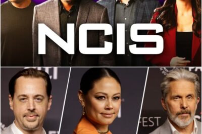 NCIS Shocks Fans With Franchise Favorite’s Return and Everyone Thinks the Hetty Mystery Is About to Be Solved For Good