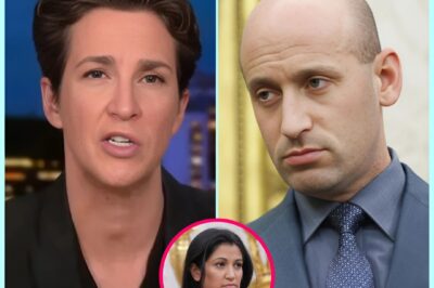 “She didn’t just clap back—she dropped a P0litical B0MB.” With one question, she revealed a DARK secret Stephen hoped was buried—now Washington’s in full-blown damage control.
