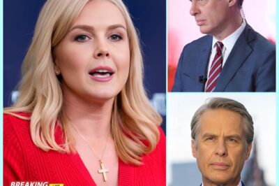 BREAKINGNEWSKaroline Leavitt Exposes ABC Anchor’s SH0CKING POST – One Screenshot, One SUSPENSION, and the Internet Explodes.  He thought a quick delete would bury his words forever.  But Karoline Leavitt’s sharp eye and viral post turned a hidden comment into national outrage – leaving an ABC News anchor suspended and the network scrambling.