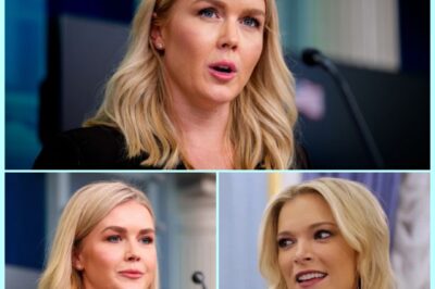 TV CHAOS: Karoline Leavitt Topples The View—Megyn Kelly’s 11-Word B0MBSHELL Leaves TV Industry in SH0.Ck.  A single joke spiraled into a courtroom showdown, sending panic through The View’s ranks.  Karoline Leavitt brought the heat, but it was Megyn Kelly’s razor-sharp 11-word response that delivered the knockout blow—turning a lawsuit into a media earthquake.