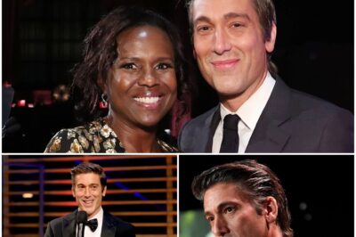 ABC MELTDOWN: THE SILENT B0MBSHELL THAT SHATTERED AMERICA’S #1 NEWSROOM—AND FORCED DAVID MUIR TO MAKE AN IMPOSSIBLE CHOICE 😱 He didn’t raise his voice. He didn’t storm off the set or break character for even a second. But when David Muir dropped a single, unexpected sentence live on air, the entire newsroom went silent. Producers stared at each other in disbelief. Phones lit up across the country. Viewers everywhere wondered—did they really just hear what they think they heard?