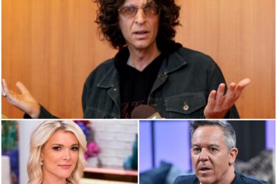 “OLD STERN WAS A WRECKING BALL. NEW STERN’S AN INTERPRETIVE DANCER.” Greg Gutfeld & Megyn Kelly EXPOSE Howard Stern’s Dark Past LIVE on Air! Howard Stern Fires Back With 8 D3ADLY WORDS That Silence Everyone
