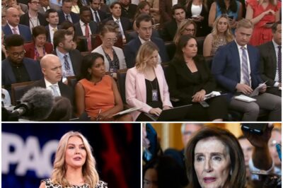 VIDEO: Leavitt Reads Staggering Statistics On Nancy Pelosi’s Portfolio Amid Debate On Insider Trading Bill