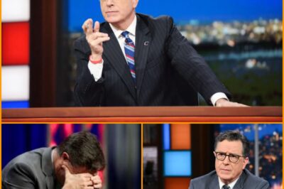 “So He Opened a Golf Course. Again.” Stephen Colbert Didn’t Raise His Voice. He Just Showed the Camera What They Didn’t Want You to See — And Now Networks Are Trying to Contain the Fallout