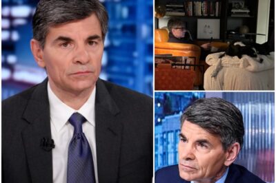 EXCLUSIVE:“I’m completely DRAINED from all the political debates,” George Stephanopoulos admitted. Is this the start of a major shift in his GMA career, or just a rare moment of weakness after endless political battles? What kind of life does he truly long for, and what’s next for him? The answers are waiting in the comments below…