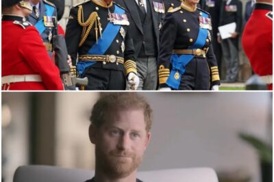 ‘I’ll Su3 Anyone Who Defames My Memoir — My Conscience Is Clear’Prince Harry Warns