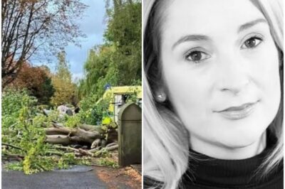 Heartbreaking:“TRAGEDY IN THE PARK: Heartbreak as ‘Beloved Wife’ K!lled by Falling Tree Branch—Community Mourns in Emotional Tribute”