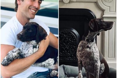 EXCLUSIVE : Inside ABC anchor David Muir’s sprawling $7 MILLION New York City townhouse