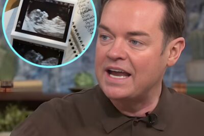 UNBELIEVABLE: : Stephen Mulhern’s SH0CK Baby Confession Leaves Fans Reeling After Years