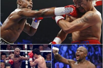 Floyd Mayweather STRIKES BACK! “I’M THE BEST EVER — MEN LIE, WOMEN LIE, BUT NUMBERS DON’T!”.k