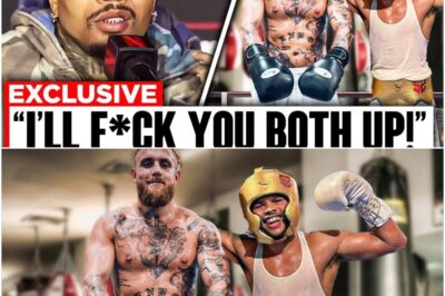 “Remember who’s when he was under money bags” — Gervonta Davis EXPLODES With ANGRY Reaction After Jake Paul Is Caught Sparring With Shakur Stevenson Ahead Of Their Epic Showdown/ Tensions are sky-high as Davis reacts to the unexpected training session between two of his fiercest rivals. What does this mean for the fight? The drama is just getting started.k
