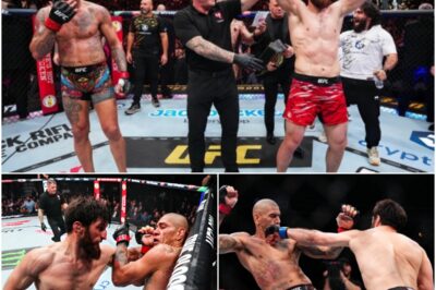 A MUST-WATCH! Magomed Ankalaev DESTROYS Alex Pereira With BRUTAL Round 2 KO – Fans Say He NEVER Saw It Coming! The stunning upset has sent shockwaves through the MMA world — and the brutal finish will be talked about for years to come.k