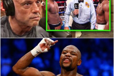 “THIS IS DANGEROUS!” Joe Rogan REACTS To Mayweather RETURN Fight VS Crawford At 48Yrs Old _ Joe Rogan doesn’t hold back as he breaks down the risks and drama behind Mayweather stepping back into the ring against Crawford. Can age really be just a number, or is this fight a ticking time bomb?k