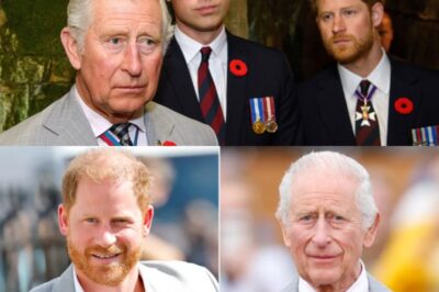 “Insiders Reveal:King Charles —  “a man torn between love and legacy- ”‘Deeply Worried’ About Prince Harry Amid Fresh Royal Scandal