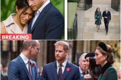 BREAKING NOW: Meghan and Harry In TOTAL PANIC After Prince William and Princess Catherine Claim £16 Million Royal Mansion – The Wales’s Surprise Decision STUNS The Palace.k