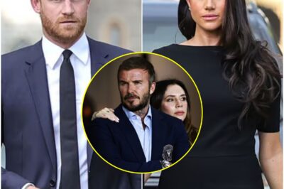HEARTBROKEN: David Beckham’s Bitter FEUD With Prince Harry EXPLODES — Inside the Secret Betrayal, Silent Revenge, and the One Move That Left Meghan and Harry Stunned…K