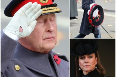 Stunned Nation on Remembrance Sunday as Sky News Interrupts for Royal Announcements — Viewers Brace for Bombshells