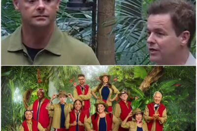 Exclusive:I’m A Celeb 2025 line-up flop is the final nail in the coffin for ITV show The line up for this year’s