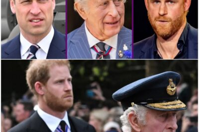 “Royal Bombshell: Inside King Charles and Prince William’s Secret Deal — The ‘Trade-Off’ That Could Bring Harry Home”