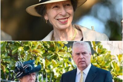 SHOCKING: Princess Anne once again proves she’s the UNDISPUTED master of royal wit — effortlessly flipping a painfully awkward Andrew question into a moment of pure charm and razor-sharp brilliance.K