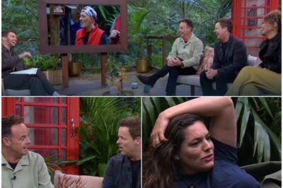 Shоcking bоmbshell:Ant and Dec make cheeky reference to Kelly Brook BGT feud on I’m a Celeb leaving viewers gobsmacked