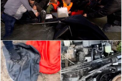 “BRITONS ARE NOW DOING WHAT THE GOVERNMENT WON’T.” New footage shows English men travelling to France and 𝘴𝘭𝘢𝘴𝘩𝘪𝘯𝘨 small migrant boats before they’re used and the videos are exploding online.