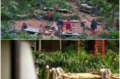 Breaking News:I’m A Celeb hit by second disaster hours before show after camp evacuated