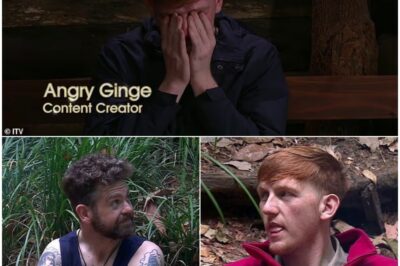 Heartbroken’:“The moment AngryGinge crumbled into tears — a first sign of a major split forming inside the I’m A Celebrity camp?”