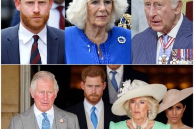 “Royal Bombshell: The 2-Word Camilla Insult That Left King Charles Furious — and the ‘Dark Family Secret’ Behind Harry’s Eviction From Frogmore”