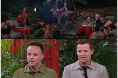 “ITV IN CRISIS!” Vogue Williams’ “SEVERE Injury” Sparks MASS PANIC — Ant & Dec FORCED to Break SILENCE as Fans Spot MORE “DISTURBING WOUNDS” in Camp, Triggering a HEALTH SCANDAL the Show Can’t HIDE