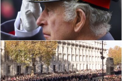 “A NATION HOLDS ITS BREATH!”: King Charles Appears GRIEF-STRICKEN As He Leads Two-Minute Silence At SOMBER Remembrance Sunday Service, Sparking HEARTBREAK, CONCERN And Deep EMOTION Across Britain!k