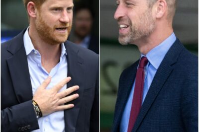 “I Won’t Stay Silent Any Longer” : Prince Harry FIRES BACK at Explosive Claims About Brother William in Shock New Statement — Palace Left Reeling as Tensions Hit Breaking Point!k