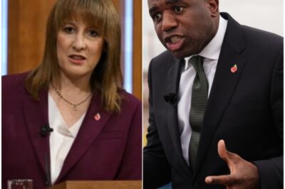 Breaking News:”𝘙𝘢𝘤𝘩𝘦𝘭𝘙𝘦𝘦𝘷𝘦𝘴 and 𝘋𝘢𝘷𝘪𝘥𝘓𝘢𝘮𝘮𝘺 may as well claim the dоg ate their hоmewоrk”-Britain Explоdes in Fury!