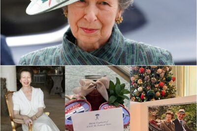 HOT NEWS: Princess Anne praised for her humility as royal fans spot ‘simple’ detail on her annual Christmas card,  says everything about who she really is.K