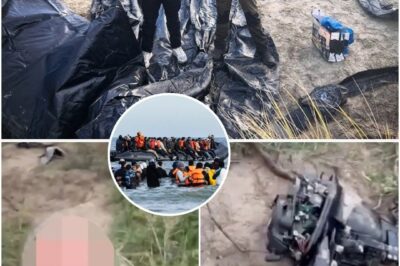 ENOUGH IS ENOUGH: English Lads Cross the Channel After Dark & Gut Every Migrant Boat on French Soil !  Explosive new video: blacked out teams hit the beaches under moonlight, knives flashing, turning the traffickers’ fleet into useless rags. One voice, pure steel: “Our government surrendered the border we’re taking it back.” Cheers ring out as the last hull collapses. Heroes to the people who pay the bills, criminals to the ones who don’t want you to see this. The rebellion just went international. Full clip in the link