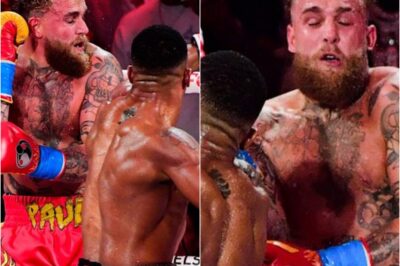 “DON’T YOU DARE GIVE HIM CREDIT.”: Jake Paul’s boxing sparks fresh backlash as critics refuse to praise him… insisting the hype is a joke and his rise doesn’t deserve respect.k