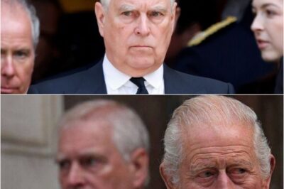 “HE HAS NO CHOICE LEFT…”: Fresh humiliation detonates for Andrew Mountbatten-Windsor as a brutal new blow leaves him cornered, with nowhere left to hide.k
