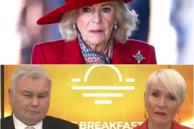 ROYAL SHOCK: GB News suddenly halted for breaking Queen Camilla alert