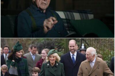 Royal chaos:BBC viewers gobsmacked as David Dimbleby drops Royal Family bombshell