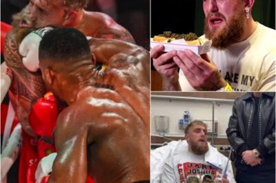 “HUMILIATION!!! WHY WOULD YOU USE IT TO HURT ME?”: Jake Paul is forced to eat ‘world’s most expensive hot dog’ from a blender after losing Anthony Joshua fight… a savage punishment that turns his defeat into a viral nightmare.k