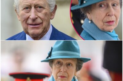 “The hardest-working royal of 2025″revealed as Princess Anne dealt blow