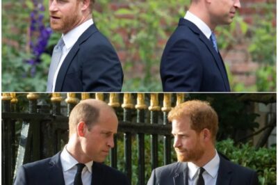 ROYAL bоmbshell: Former palace butler lifts lid on CRAZY Christmas chaos as PRINCE WILLIAM and HARRY’s BALLOON “WAR” explodes — secret festive moment fans have NEVER heard before