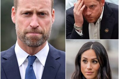 “THEIR POSITION IS LOOKING FRAGILE…”: Explosive commentary now claims Prince Harry and Meghan Markle are on “borrowed time” and growing “vulnerable” as furious William is tightening his stance amid the deepening rift .k