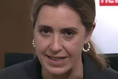 TV CHAOS: Sky News is abruptly halted after a presenter loses it on air in a shocking outburst — and the clip is spreading like wildfire