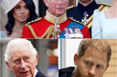 TEARS AND HEARTBREAK: King Charles’ heartbreaking Prince Harry wish is revealed ahead of his cancer statement, a devastating moment that stops royal fans cold.K